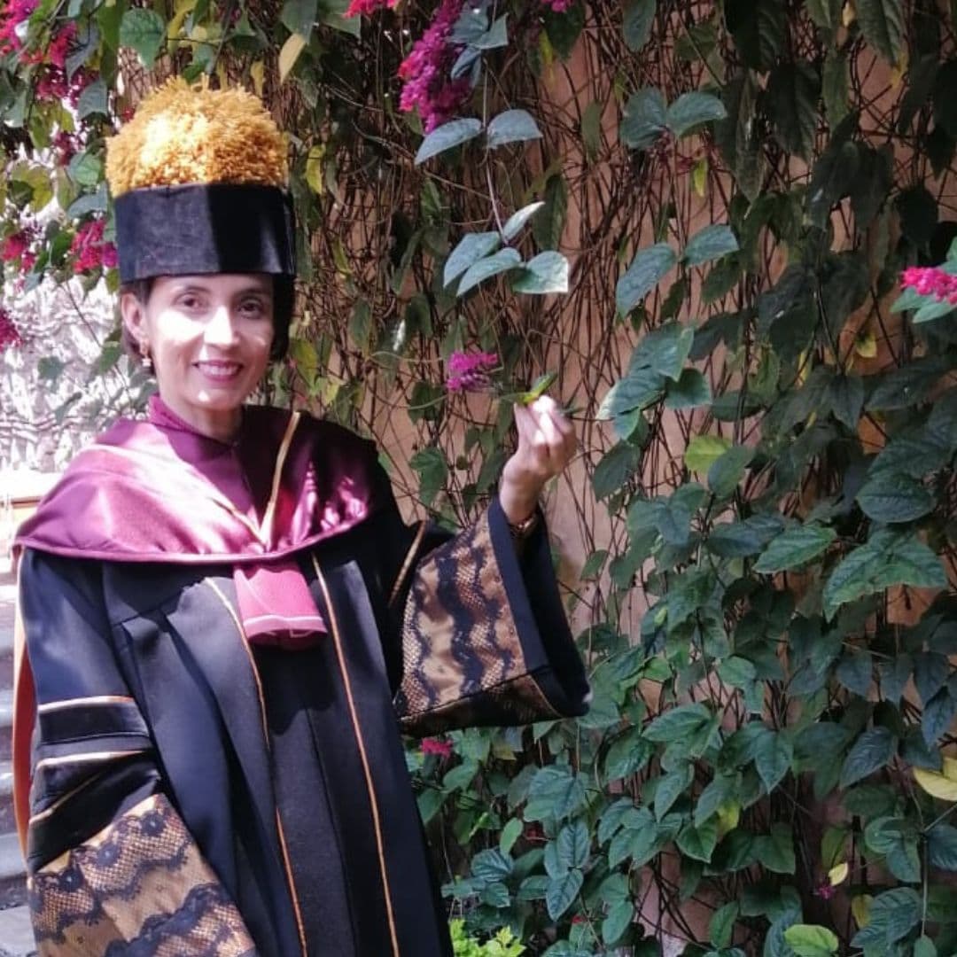 Investigación avanzada